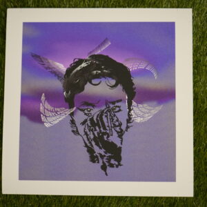 Pretty as we can Perceive Print
